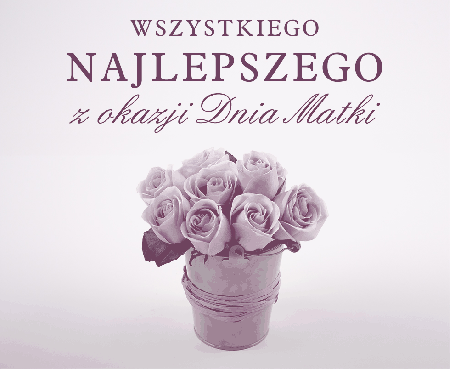 Różowe róże w wiadrze dzień matki